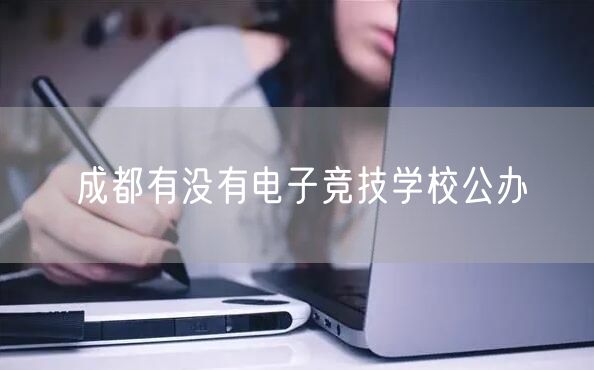 成都有没有电子竞技学校公办