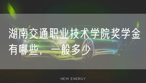 湖南交通职业技术学院奖学金有哪些，一般多少