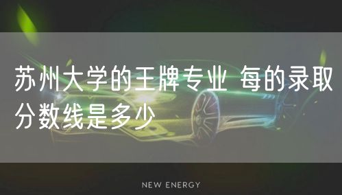 苏州大学的王牌专业 每的录取分数线是多少